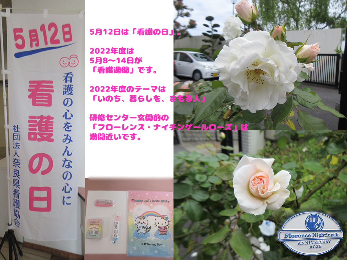 5月10日様子1